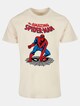 Marvel Universe - The Amazing Spider-Man Basic-0