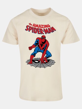 Marvel Universe - The Amazing Spider-Man Basic