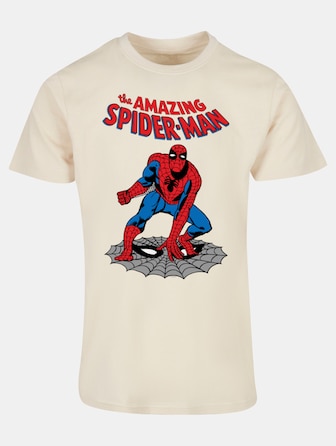 Marvel Universe - The Amazing Spider-Man Basic