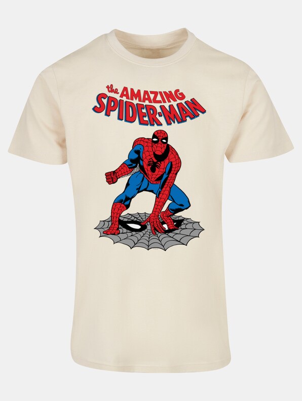 Marvel Universe - The Amazing Spider-Man Basic-0