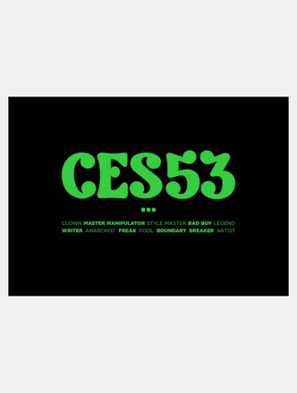 Ces53