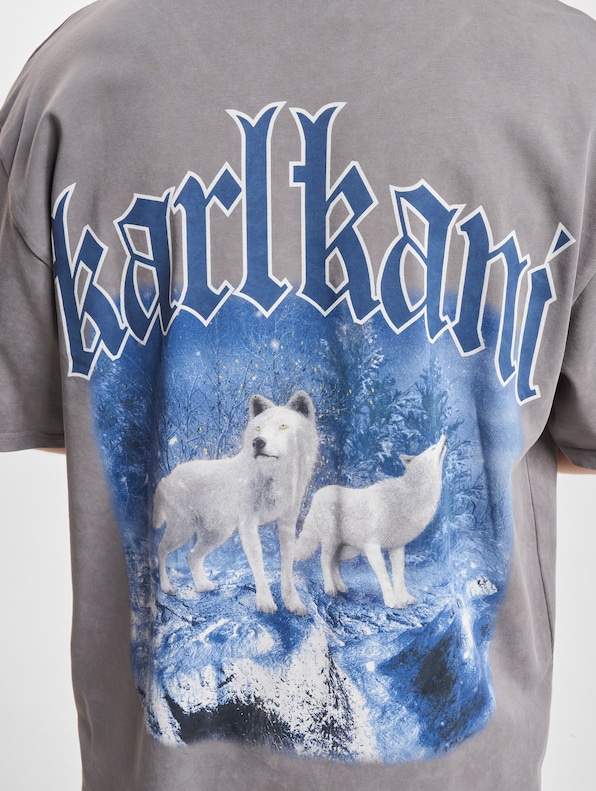Small Signature Washed Heavy Jersey Wolf-4