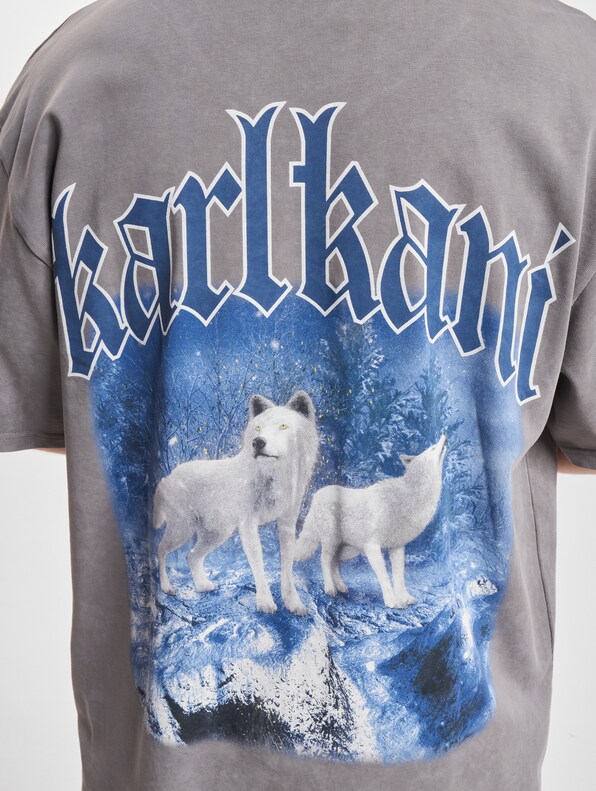 Small Signature Washed Heavy Jersey Wolf-4