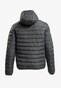 grey_12753