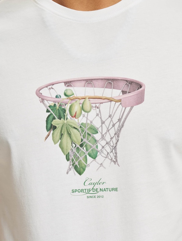 The Basket-3