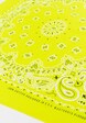 Bandana-1