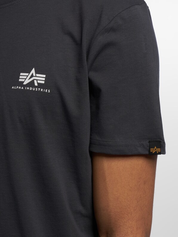 Basic Small Logo-3