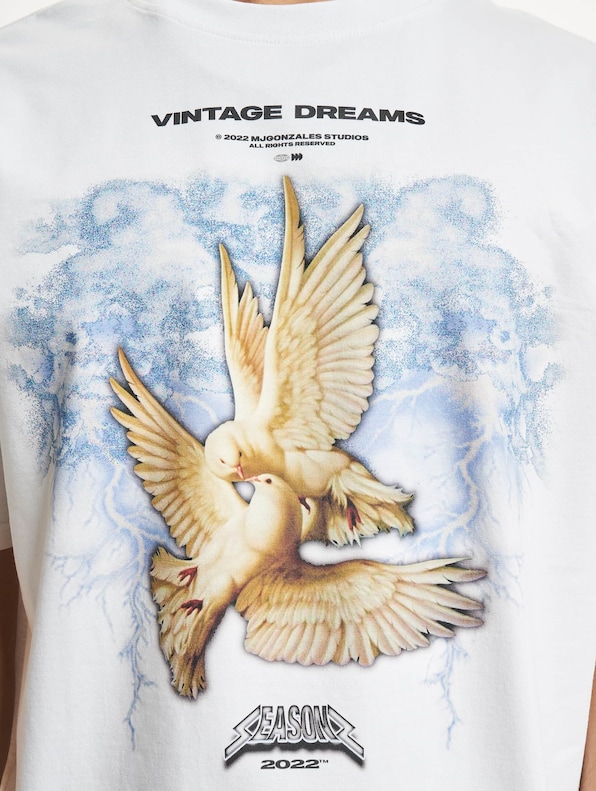 Heavy Oversized 2.0 ''Vintage Dreams V.1''-3