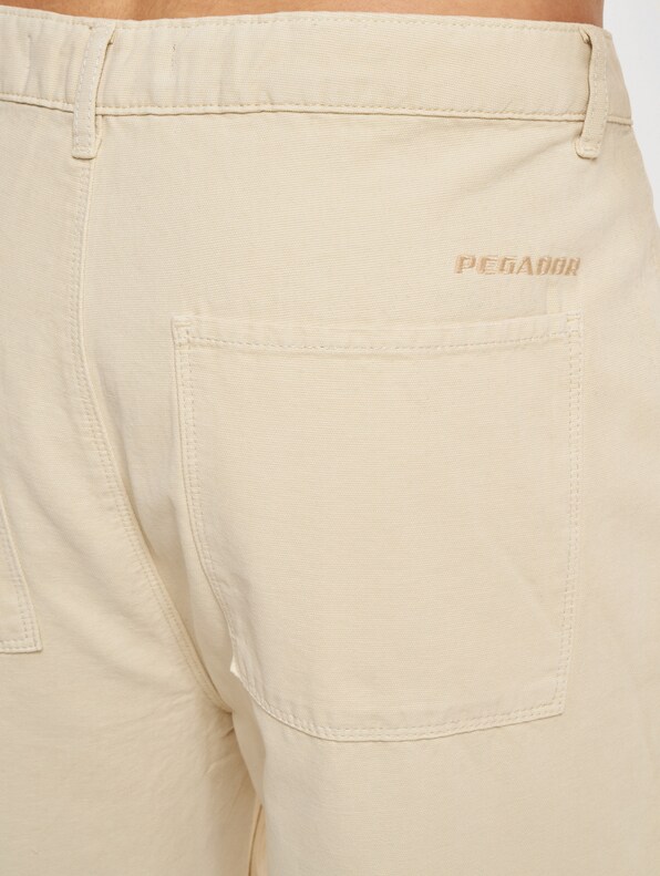 Francis Wide Canvas -3