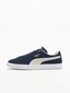 blue_71518