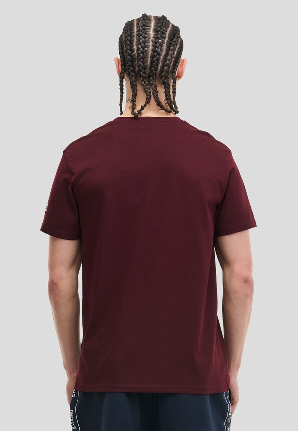 LION TWO TONE-1