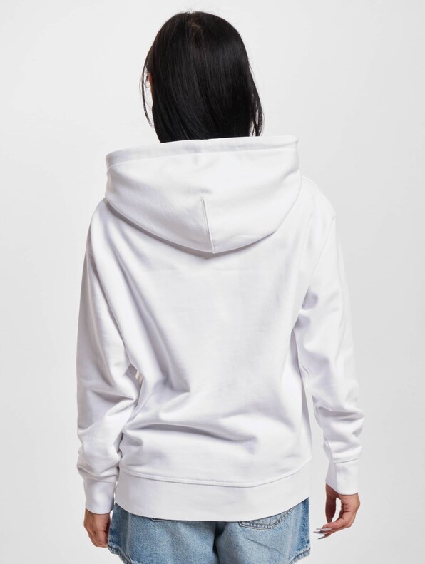 Levis Graphic Standard Hoodie-1