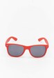 Nasa Sunglasses-1