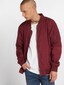 red_10290