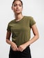 olive_7633