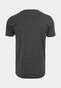 grey_18763
