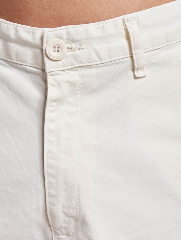 Pegador Cielo Chino Shorts-4