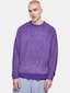 violet_104163