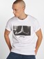 white_18398