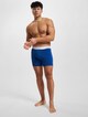  Brief 3 Pack -10