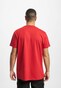 red_11541