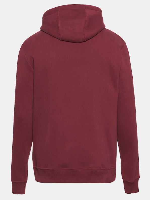 Rhein Fire Iconic Hoody-11