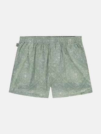 Paisley Green
