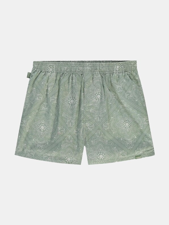 Paisley Green-0