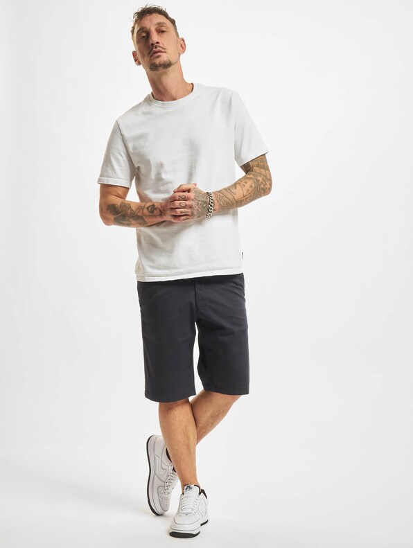 Reell Jeans Flex Grip Chinos Shorts-6