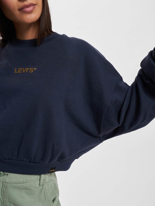 Levis Graphic Laundry Sweater-5