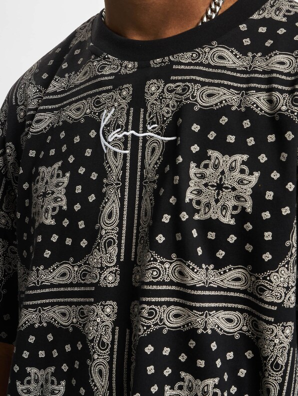 Small Signature Paisley-3