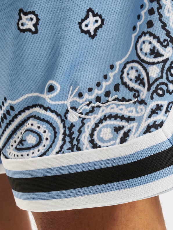 Serif Paisley Mesh-6