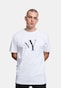 white_16757