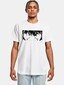 white_145511