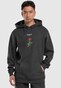 grey_17132