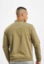 olive_54993