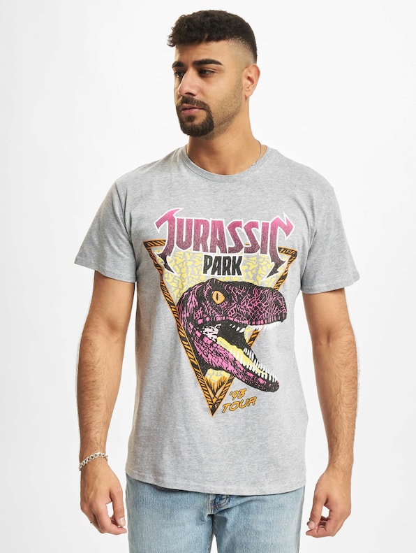 Jurassic Park Pink Rock-2