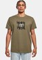 olive_105621
