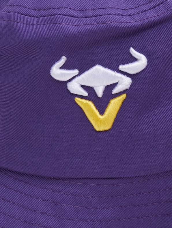 Vienna Vikings-3