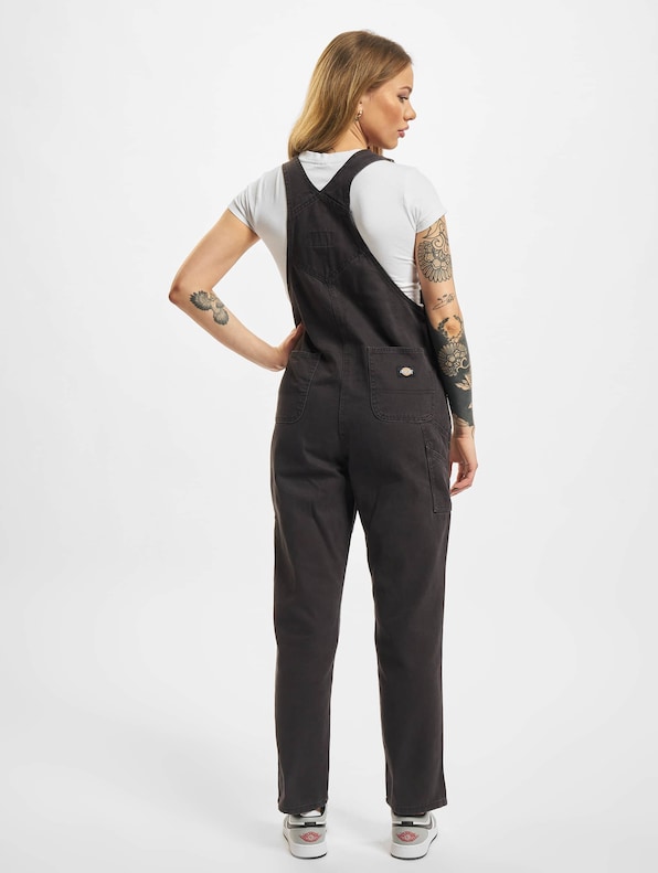 Dickies Duck Canvas SW Dungaree-1