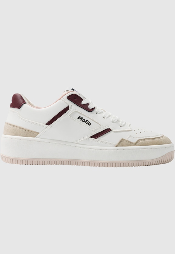 GEN1 - GRAPES -3