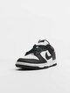 Dunk Low Panda-2