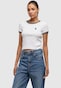 white_104966