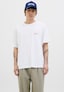 white_152041