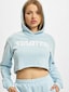 blue_11385