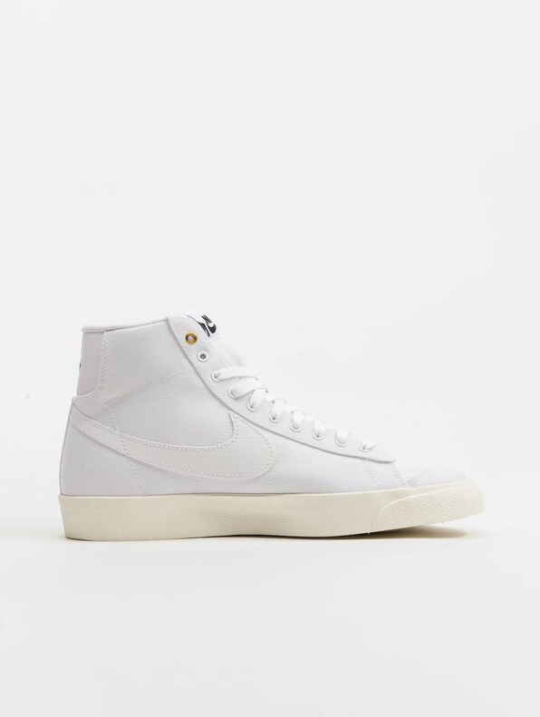 Blazer Mid '77 Cnvs-3