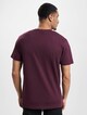 Tall 2-Pack-2