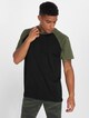 Raglan Contrast-1