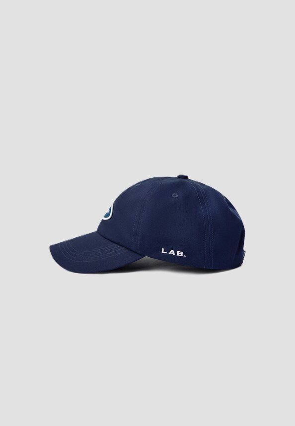 ICON -1