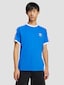 blue_136219